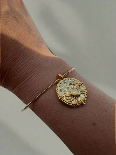 Zodiac Charm Bangle