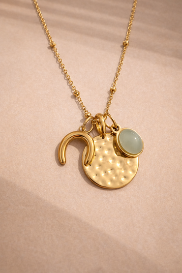 Horseshoe Charm Necklace